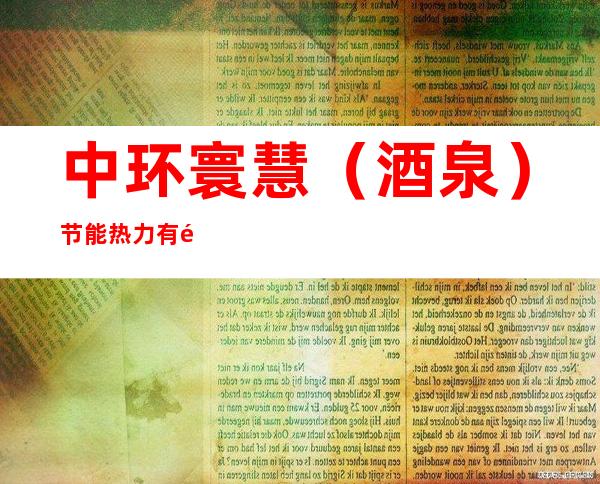 中环寰慧（酒泉）节能热力有限公司